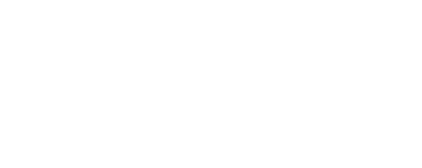 stedin